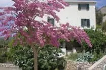 Doris Hotel *